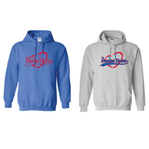 Adult Unisex Hooded Sweatshirt [GIL18500]