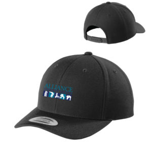Curve Bill Snapback Cap [STC43]