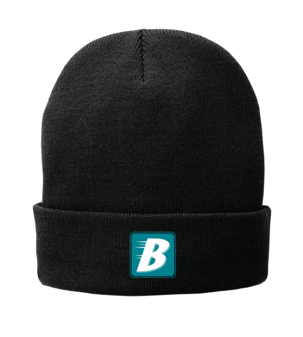 Fleece-Lined Knit Cap [CP90L]