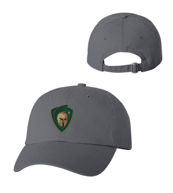 TCW Adult Bio-Washed Classic Dad Hat [VC300A]