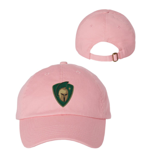 TCW Adult Bio-Washed Classic Dad Hat [VC300A] - Image 3