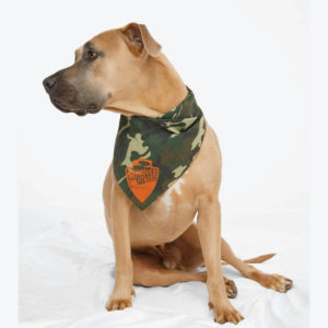 Doggie Bandana [3905]