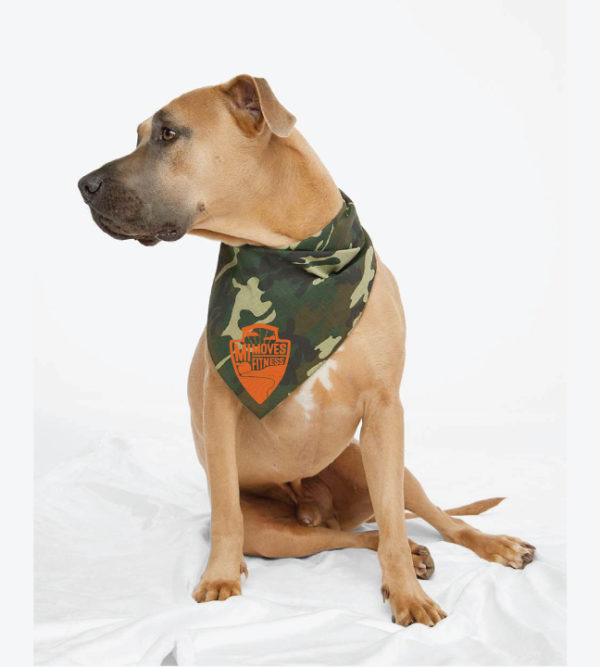 Doggie Bandana [3905]