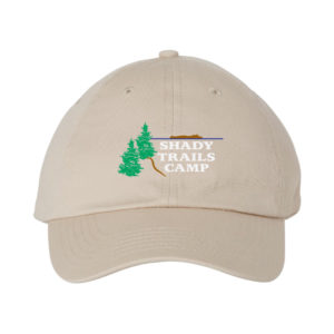 Adult Bio-Washed Classic Dad Hat [VC300A]