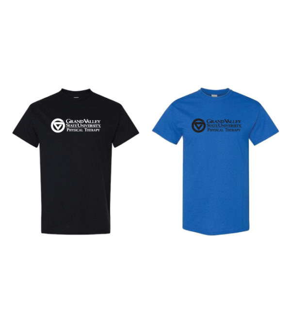 Unisex Cotton Tee [GIL-5000]