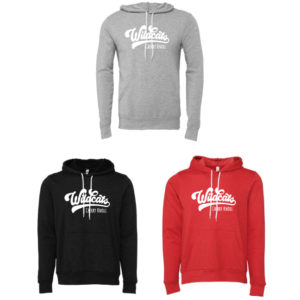 Adult Unisex Sponge Fleece Hoodie [BC-3719]