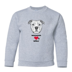 Youth Unisex Crewneck [GIL-1800B]