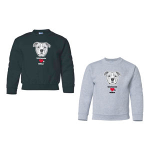 Youth Unisex Crewneck [GIL-1800B]