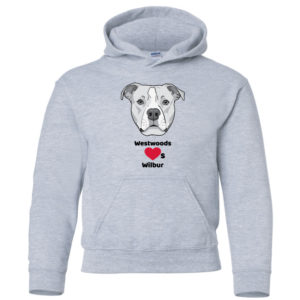 Youth Unisex Hooded Sweatshirt [GIL-18500B]