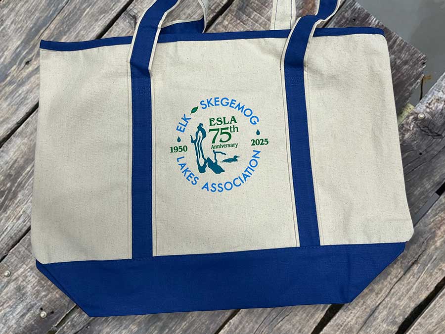 Embroidered Tote Bag